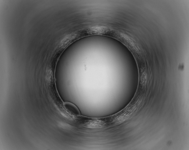 X0000101200459200806271355