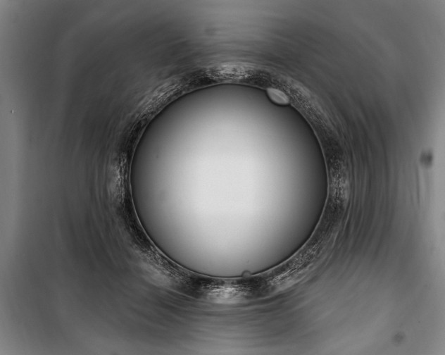 X0000101200460200806271355