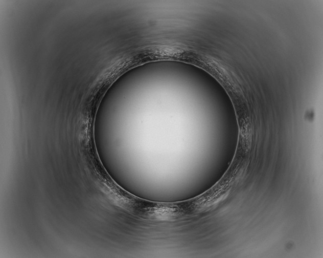 X0000101200462200806271355