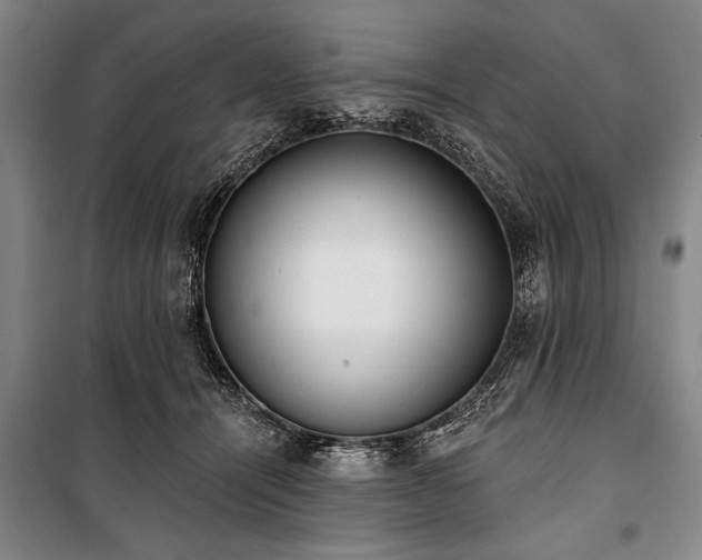 X0000101200464200806271355