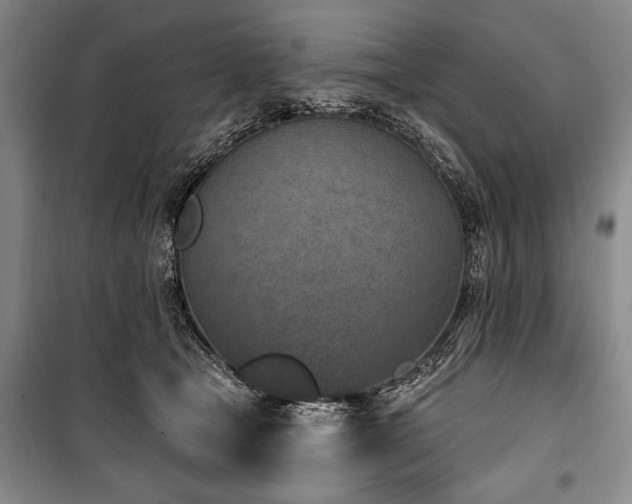 X0000101200465200806271355
