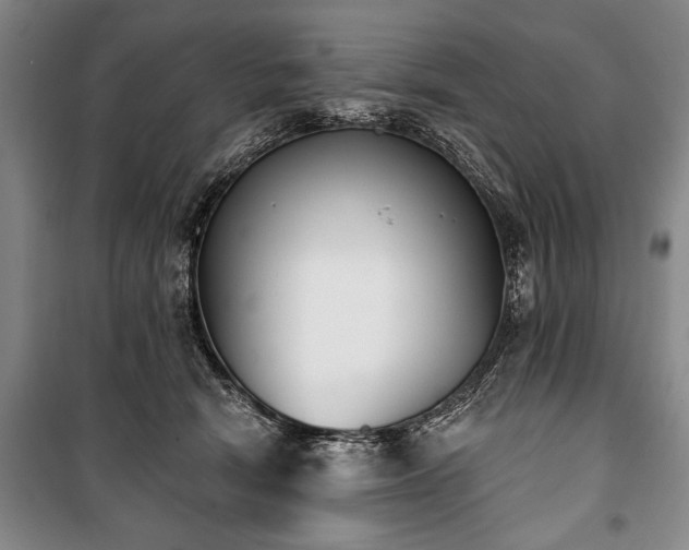 X0000101200466200806271355