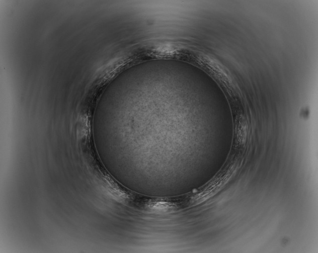 X0000101200467200806271355
