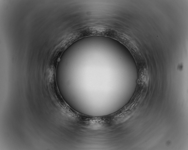X0000101200468200806271355