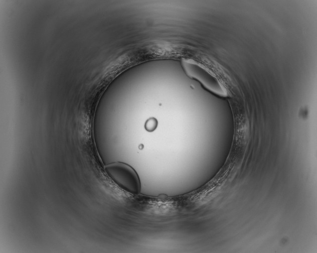 X0000101200469200806271355