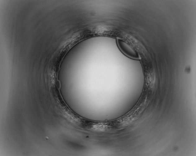 X0000101200470200806271355