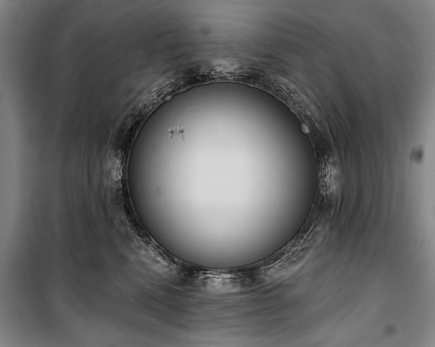 X0000101200472200806271355