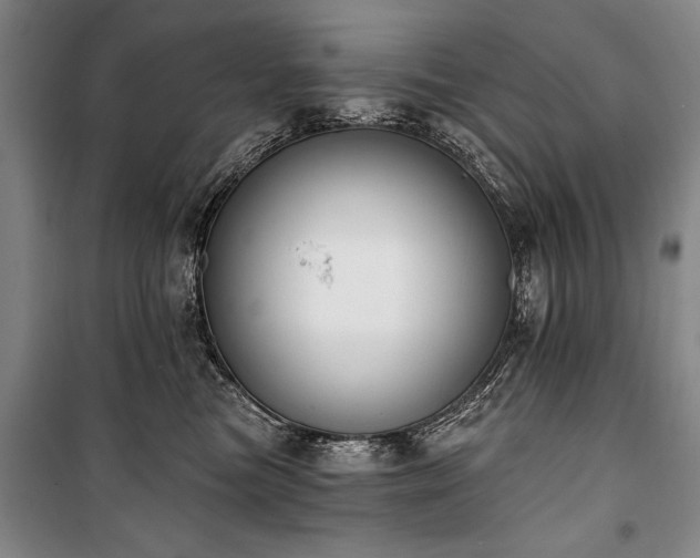X0000101200473200806271355