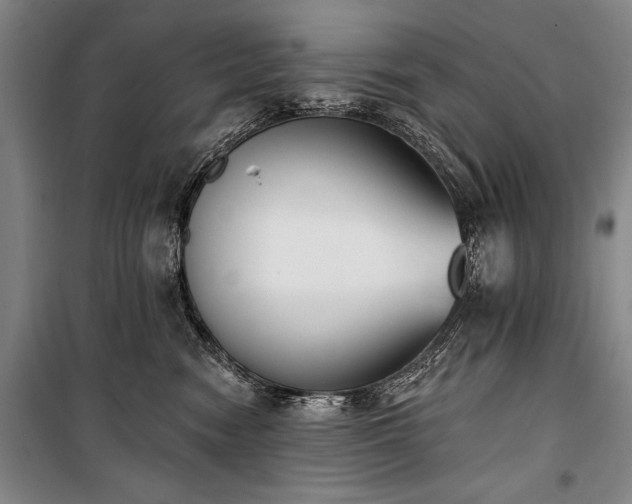X0000101200474200806271355