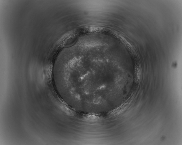 X0000101200475200806271355