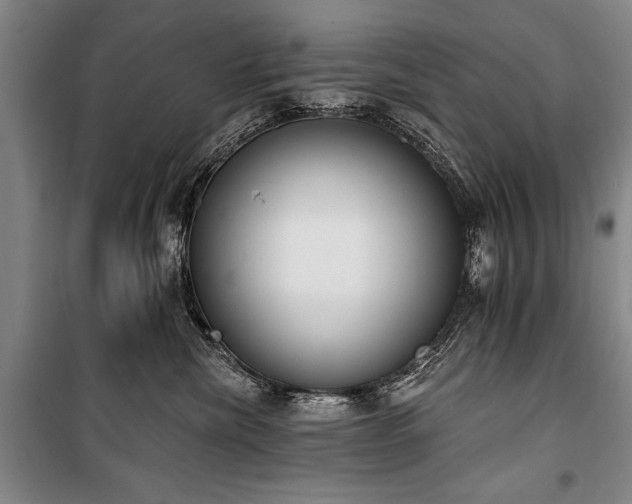 X0000101200476200806271355