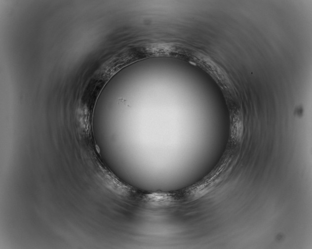 X0000101200477200806271355