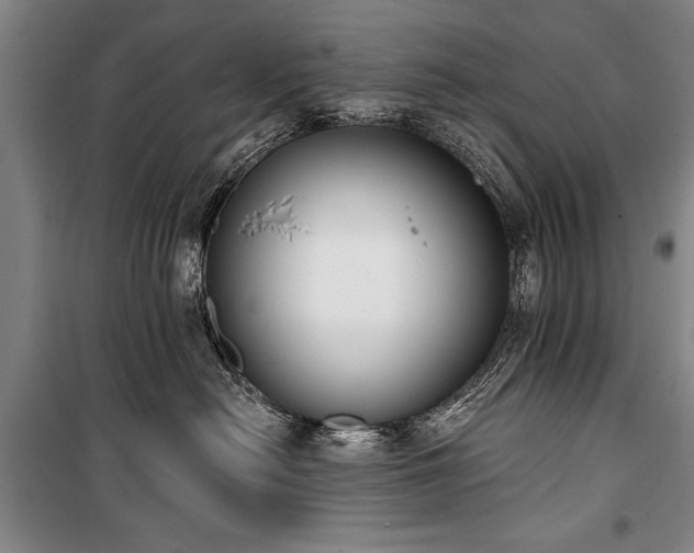 X0000101200478200806271355