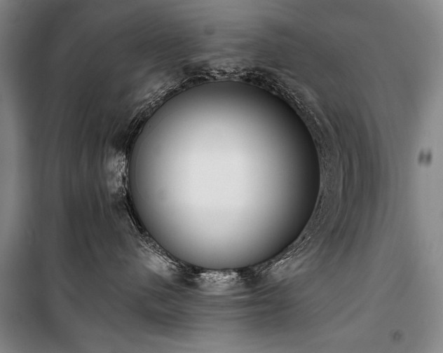 X0000101200480200806271355