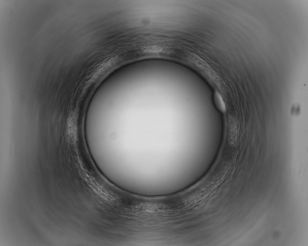 X0000101200482200806271354