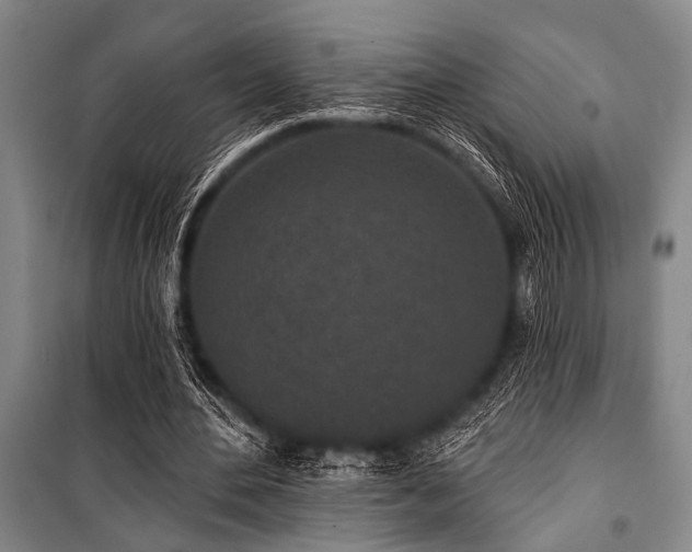 X0000101200484200806271354