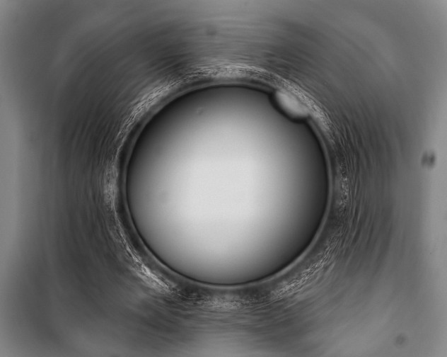 X0000101200485200806271354