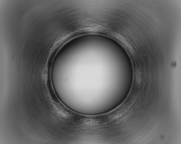 X0000101200486200806271354