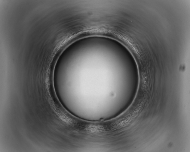 X0000101200487200806271354