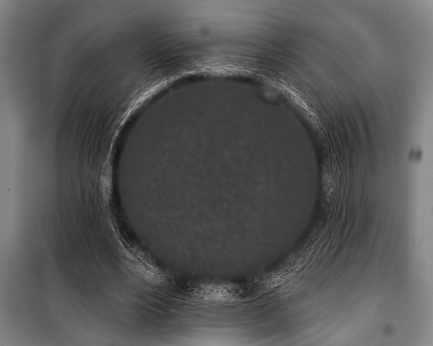 X0000101200488200806271354