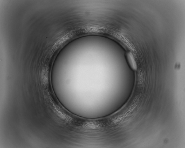 X0000101200489200806271354