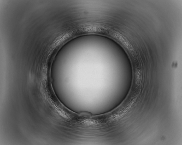 X0000101200490200806271354