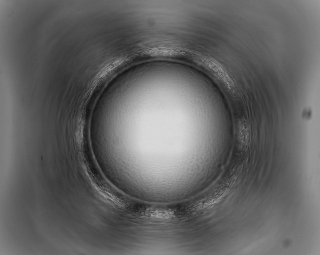 X0000101200491200806271354