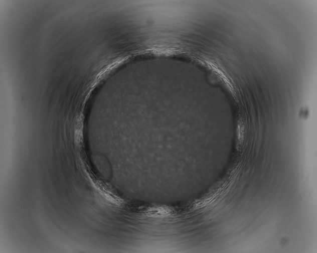X0000101200492200806271354