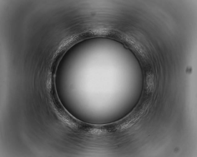 X0000101200494200806271354