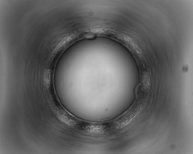 X0000101200495200806271354