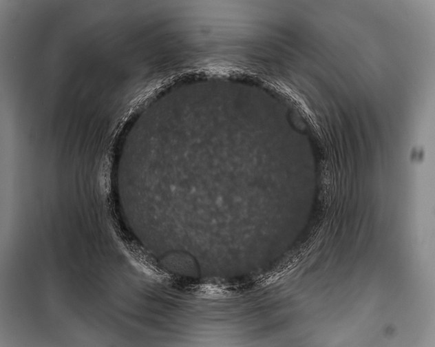 X0000101200496200806271354