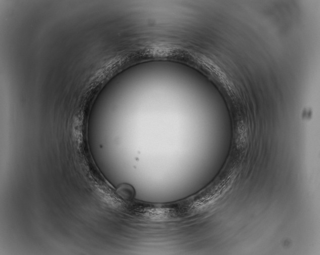 X0000101200497200806271354
