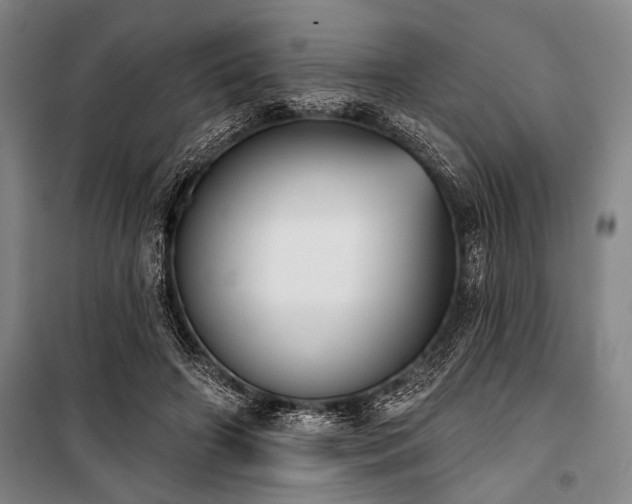 X0000101200498200806271354