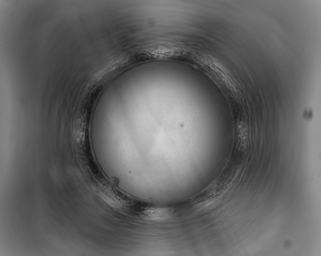 X0000101200499200806271354