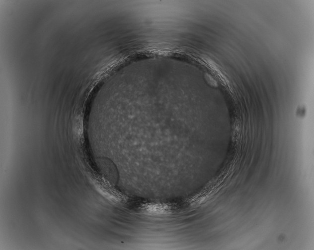 X0000101200500200806271354