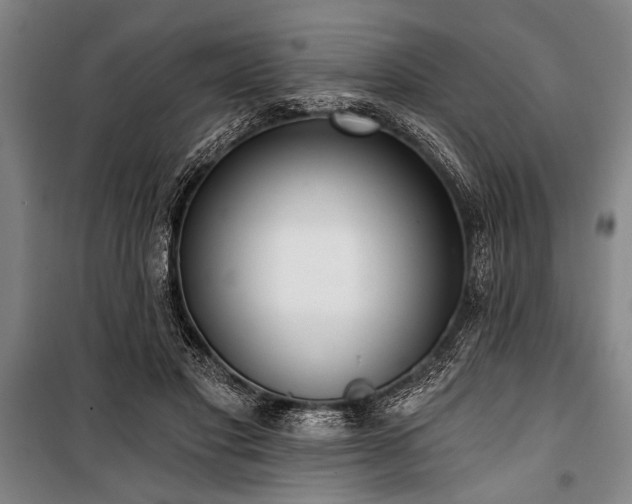 X0000101200501200806271354