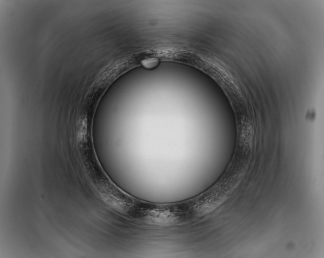 X0000101200502200806271354