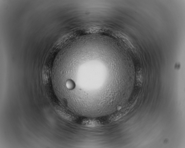 X0000101200503200806271354