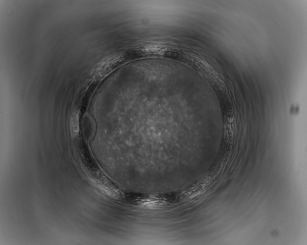 X0000101200504200806271354