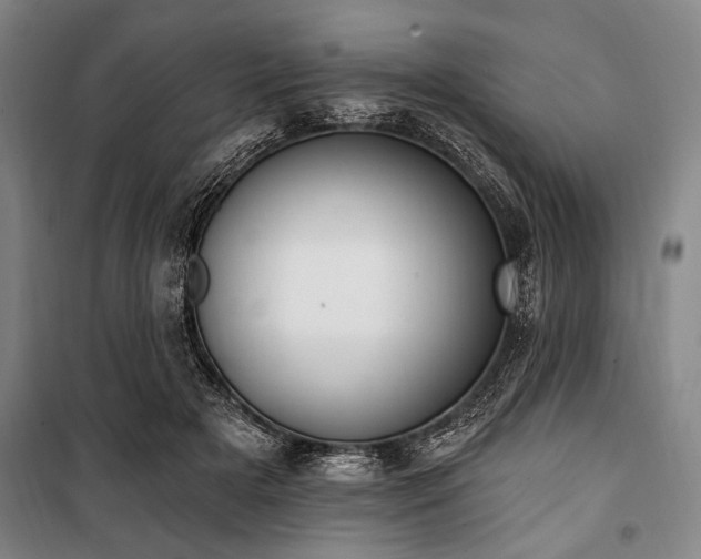 X0000101200505200806271354