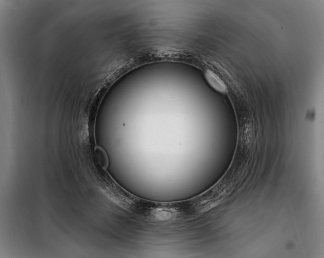 X0000101200508200806271354