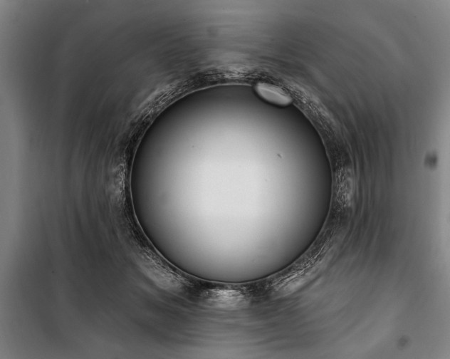 X0000101200509200806271354