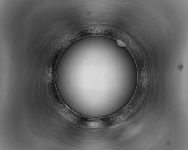 X0000101200510200806271354