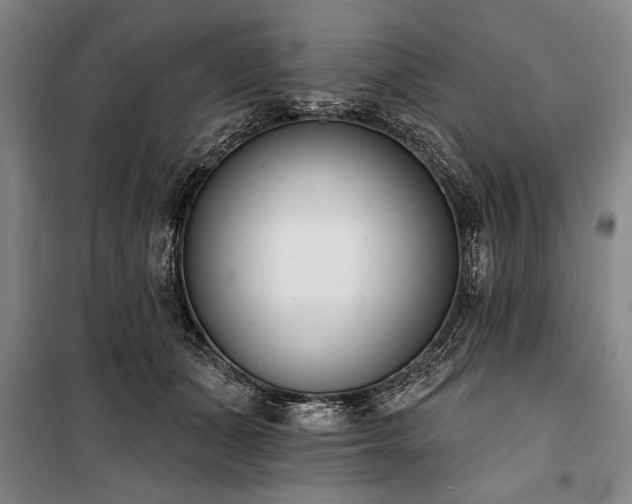 X0000101200511200806271354