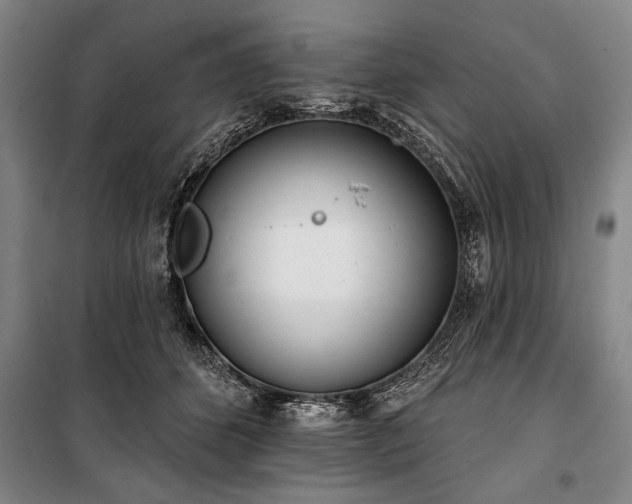 X0000101200512200806271354