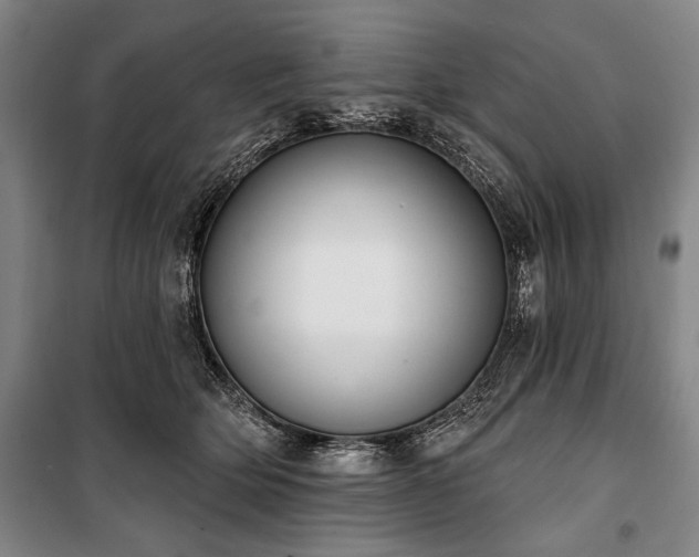 X0000101200514200806271354