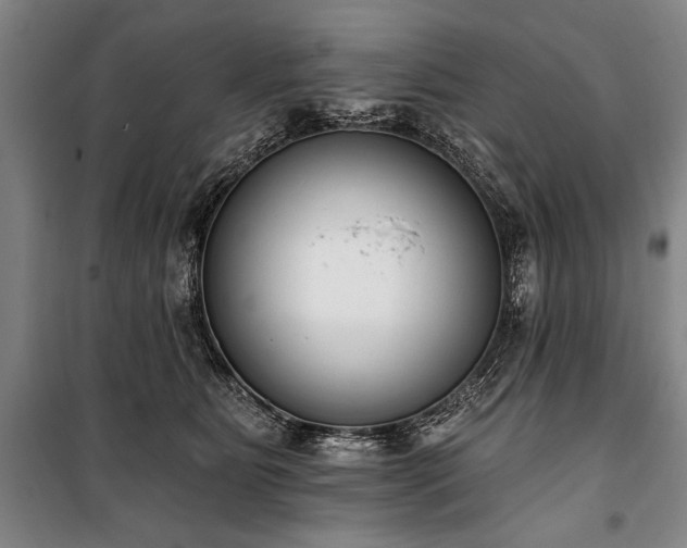 X0000101200515200806271354