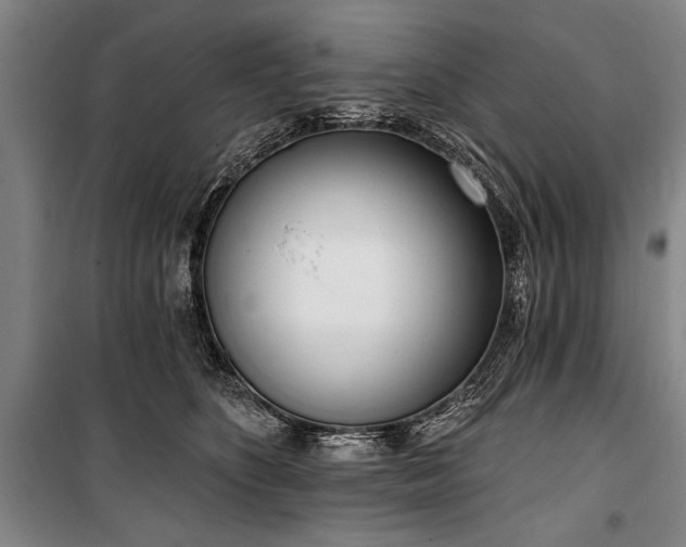 X0000101200516200806271354