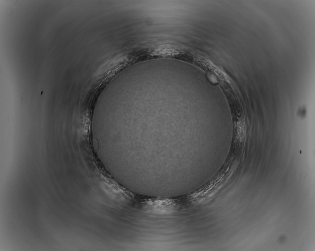 X0000101200517200806271354