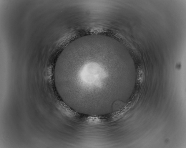 X0000101200519200806271354